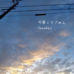 Listen to 可愛くてごめん (feat. Honey Works & かぴ) [Cover] song with lyrics from tanabes