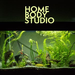 Homebody Studio的專輯Homebody Inner Peace, Playlist for Daydreaming by the Vivarium PLAYLIST #22