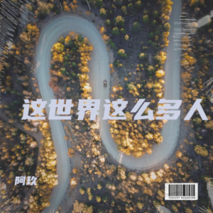 Album 这世界这么多人 from 