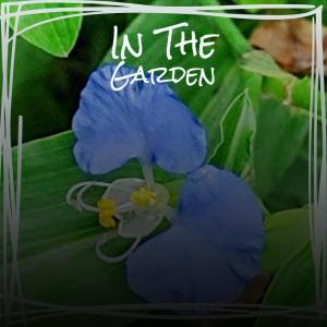 Various Artist的專輯In The Garden