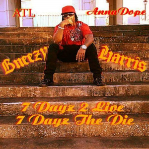 ดาวน์โหลดและฟังเพลง Diamon in the Rough พร้อมเนื้อเพลงจาก Barry Bneezy Harris