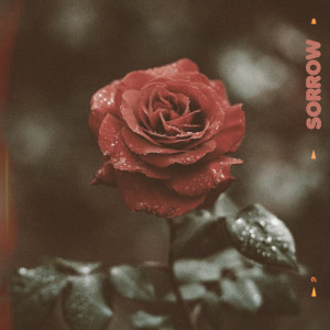 Listen to Sorrow song with lyrics from Micah Lambert