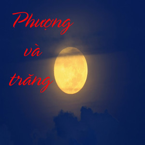 ดาวน์โหลดและฟังเพลง Tôi người lái xe พร้อมเนื้อเพลงจาก Tran Hieu