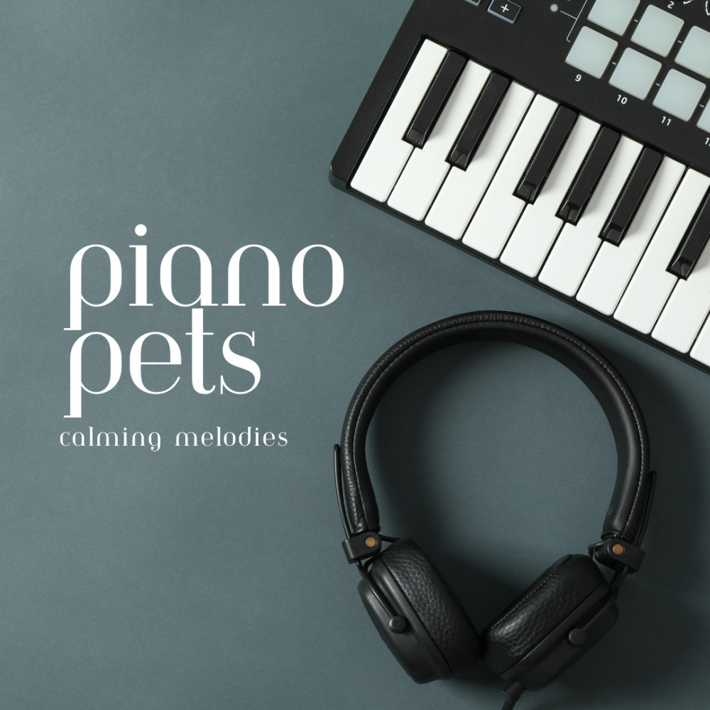 Piano's Charm Pet's Relaxation