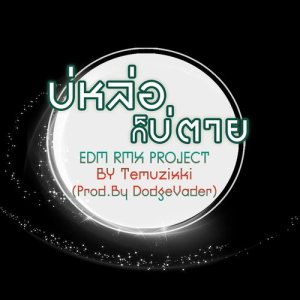 บ่หล่อก็บ่ตาย (EDM RMX PROJECT) - Single