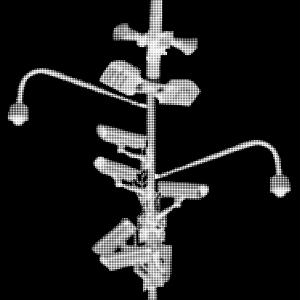 收聽Alan odraude的C5 (Explicit)歌詞歌曲