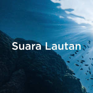 Listen to Deep Sleep Sounds song with lyrics from Ocean Waves for Sleep