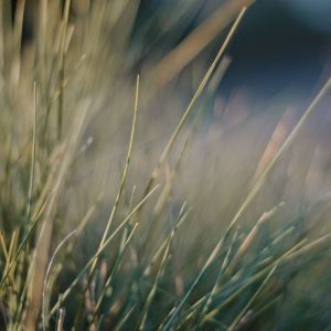 Listen to Sleep Music song with lyrics from Deep Sleep