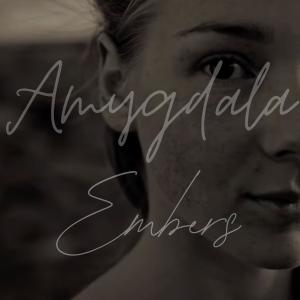 Amygdala的專輯Embers (cinematic game soundtrack)