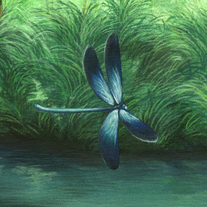 Album iinsects (Explicit) oleh Moglii