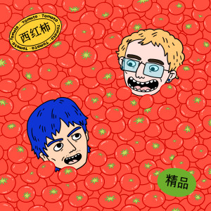 Dengarkan 西红柿 lagu dari 宝藏山 dengan lirik