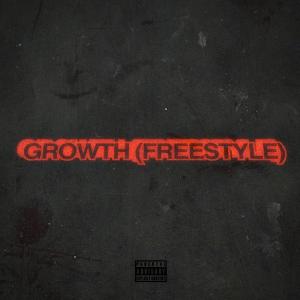 收聽stashthewave的Growth (Freestyle) (Explicit)歌詞歌曲