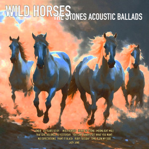 Charlie Harris的專輯Wild Horses- The Stones Acoustic Ballads