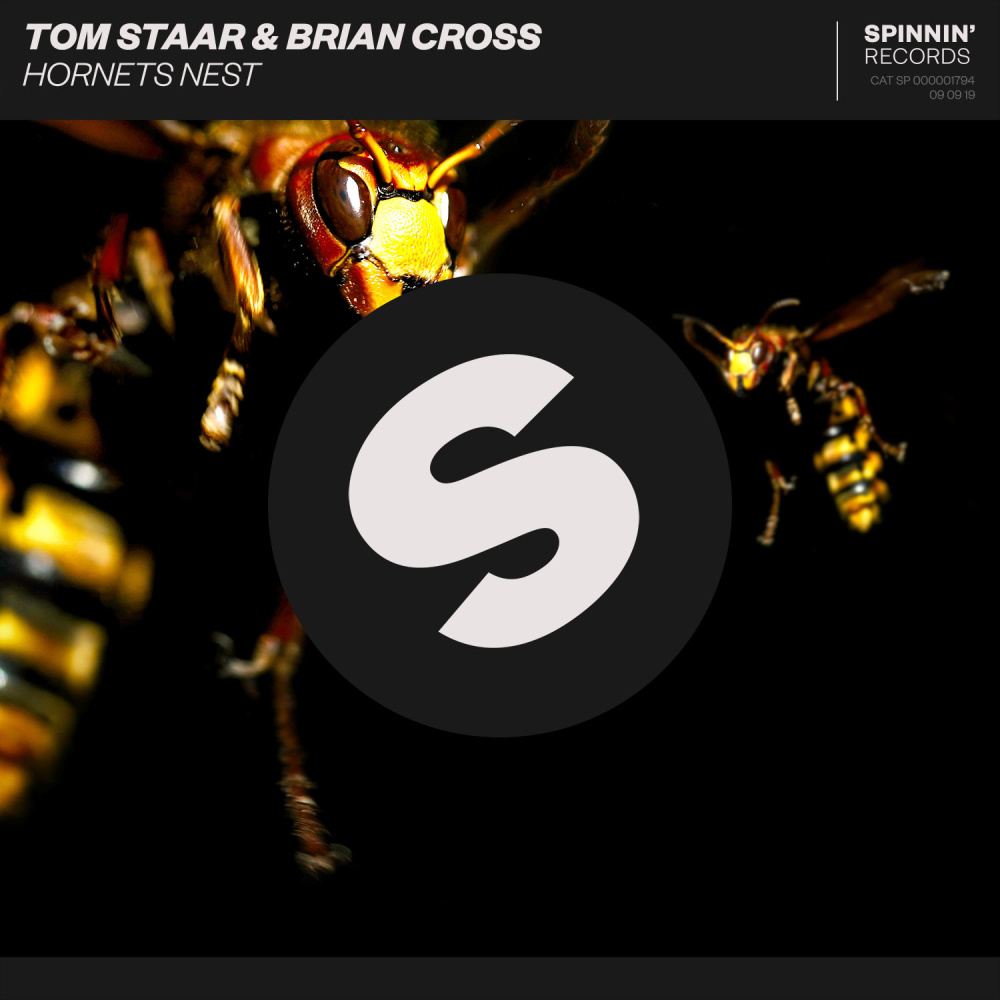 Hornets Nest (Extended Mix)