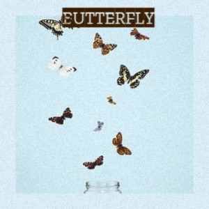 Album Butterfly from Various