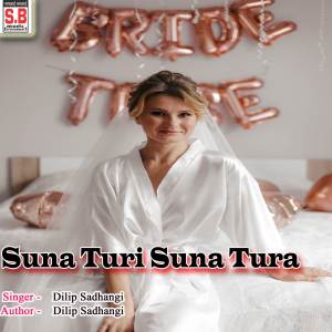 收聽Dilip Shadangi的Suna Turi Suna Tura歌詞歌曲