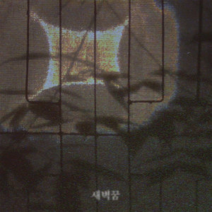 스트레이的專輯새벽꿈