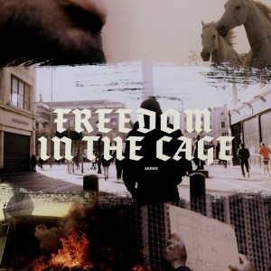 Akewi的專輯Freedom in a cage
