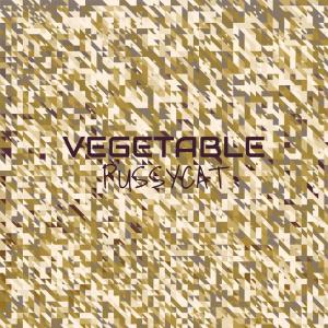 ดาวน์โหลดและฟังเพลง Saler Esos พร้อมเนื้อเพลงจาก Pame Talet