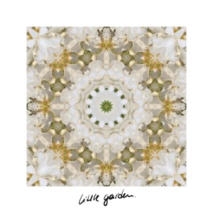 Album Little Garden from Amelie Tobien