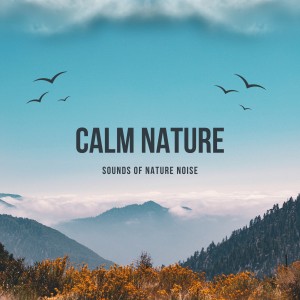 Sounds of Nature Noise的專輯Calm Nature