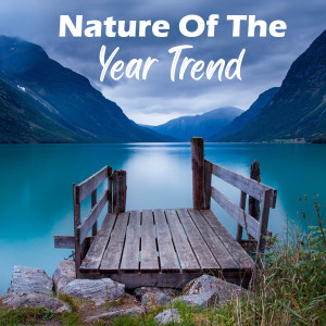 Album Nature Of The Year Trend from Tendencia