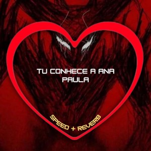 Album Tu Conhece a Ana Paula (Speed + Reverb) (Explicit) from Love Fluxos