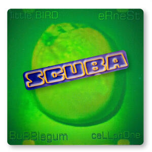 Scuba的專輯eRneSt