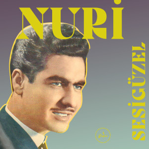 Listen to Bir Çift Turnam Gelir song with lyrics from Nuri Sesigüzel