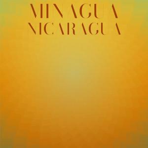 Listen to Minagua Nicaragua song with lyrics from Freddy Martin