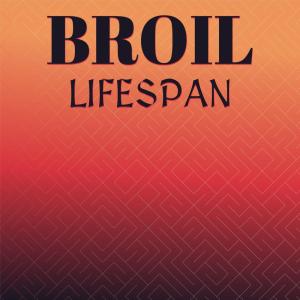 Dengarkan Broil Lifespan lagu dari Luvy dengan lirik