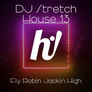 ดาวน์โหลดและฟังเพลง Fly Robin Jackin High พร้อมเนื้อเพลงจาก Dj Stretch