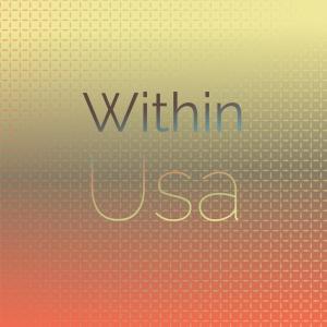 Various的专辑Within Usa