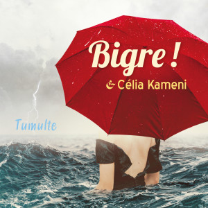 Album Tumulte from Bigre !