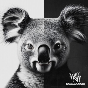 DeeJango的专辑Hell