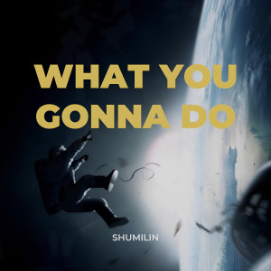 收聽Shumilin的What you gonna do歌詞歌曲