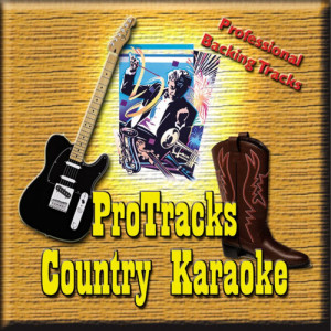 Karaoke的專輯Karaoke - Country February 2003