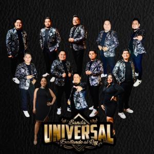 ดาวน์โหลดและฟังเพลง Cuerdas de amor (feat. Jesus Vazquez) พร้อมเนื้อเพลงจาก Banda Universal Monclova