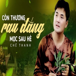 Album Còn Thương Rau Đắng Mọc Sau Hè from 
