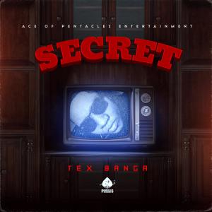 ดาวน์โหลดและฟังเพลง Secret (Explicit) พร้อมเนื้อเพลงจาก Tex Banga