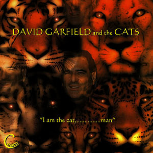 ดาวน์โหลดและฟังเพลง Sexual Harassment พร้อมเนื้อเพลงจาก David Garfield and the Cats