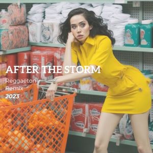 After The Storm (Reggaeton Remix)