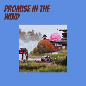 Album Promise in the Wind from Sena