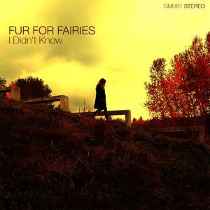 ดาวน์โหลดและฟังเพลง I Didn't Know พร้อมเนื้อเพลงจาก Fur For Fairies