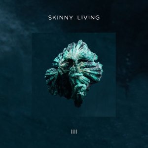 ดาวน์โหลดและฟังเพลง Better Way of Thinking พร้อมเนื้อเพลงจาก Skinny Living