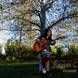收聽Reggae C的Promise歌詞歌曲