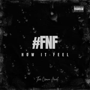 Thee Crown Jewel的專輯#FNF (How It Feel) (Explicit)