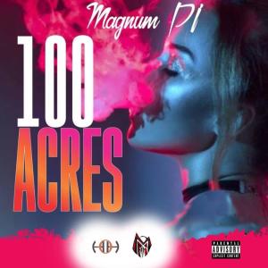 ดาวน์โหลดและฟังเพลง 100 Acres (Explicit) พร้อมเนื้อเพลงจาก Magnum P.I.