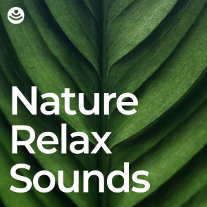 Masala Roo的專輯Nature Relax Sounds