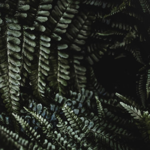 Listen to Blue Ocean song with lyrics from Deep Sleep